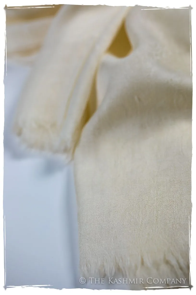 Afterglow Paisley Kashmir Wool Scarf